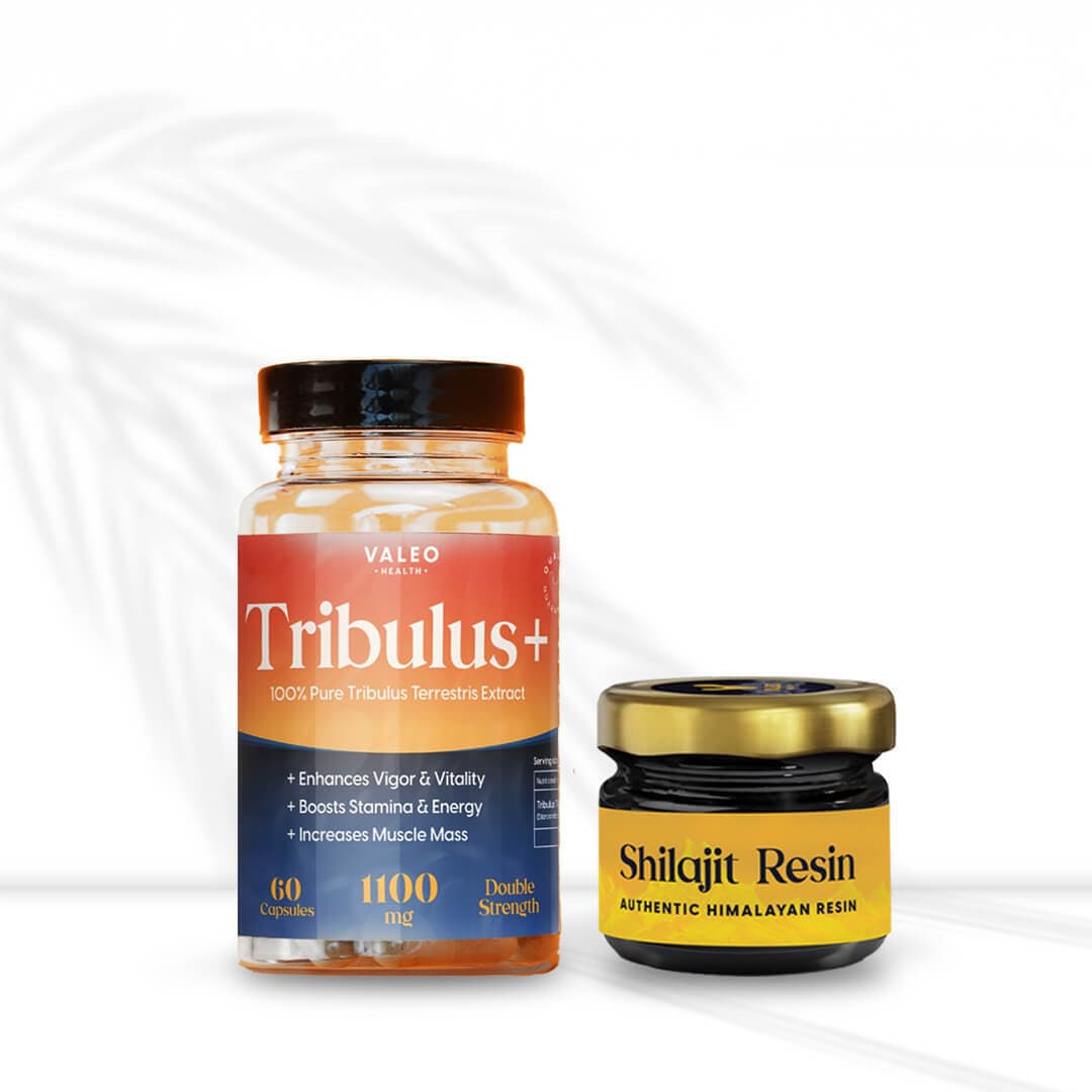 مزيج الطاقة والقوة