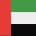 United Arab Emirates flag
