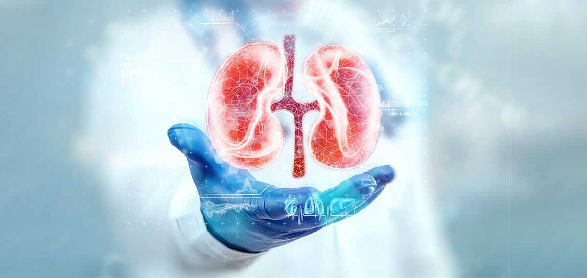 فحص وظائف الكلى